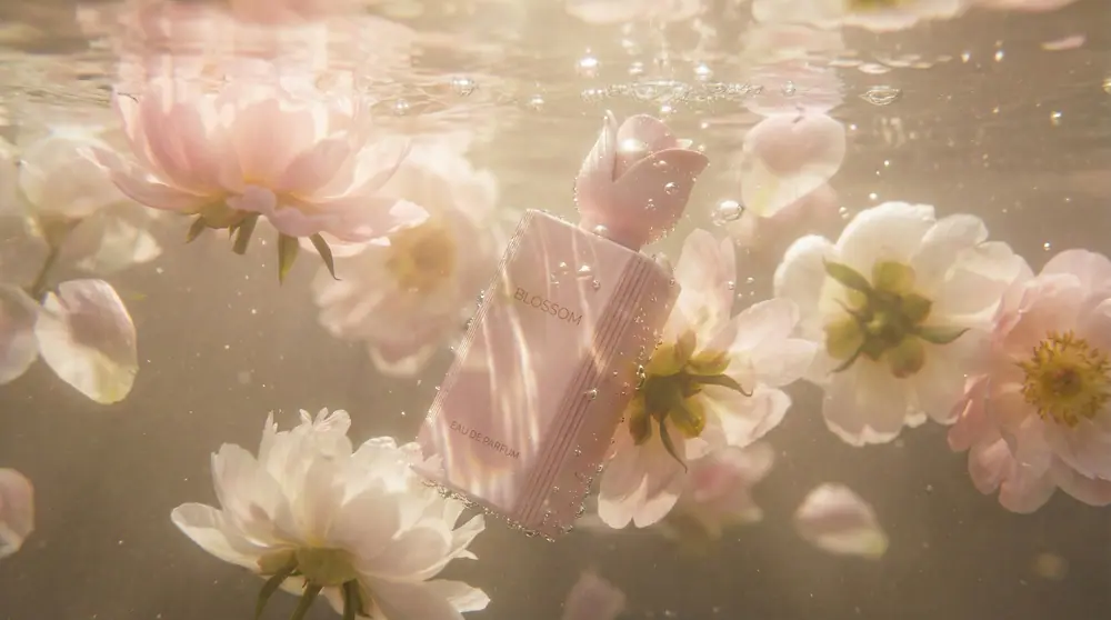 Blossom